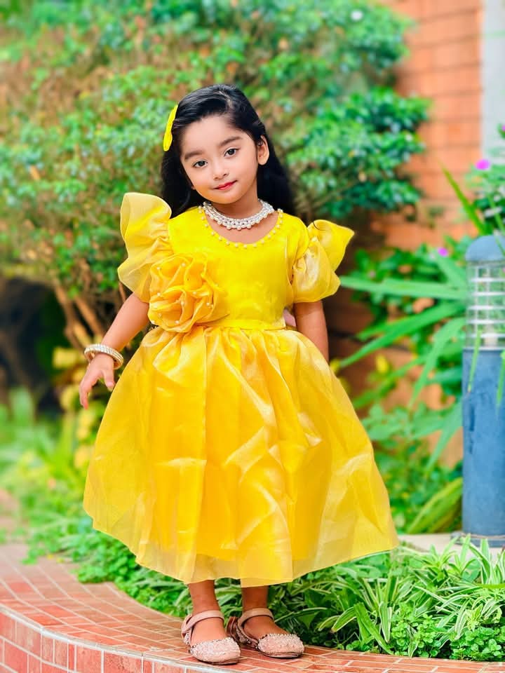 Soft Tissue Flower Frock - Puff Sleeve Princess — ছবি 1 — Kids Clothing (2-12 Years)